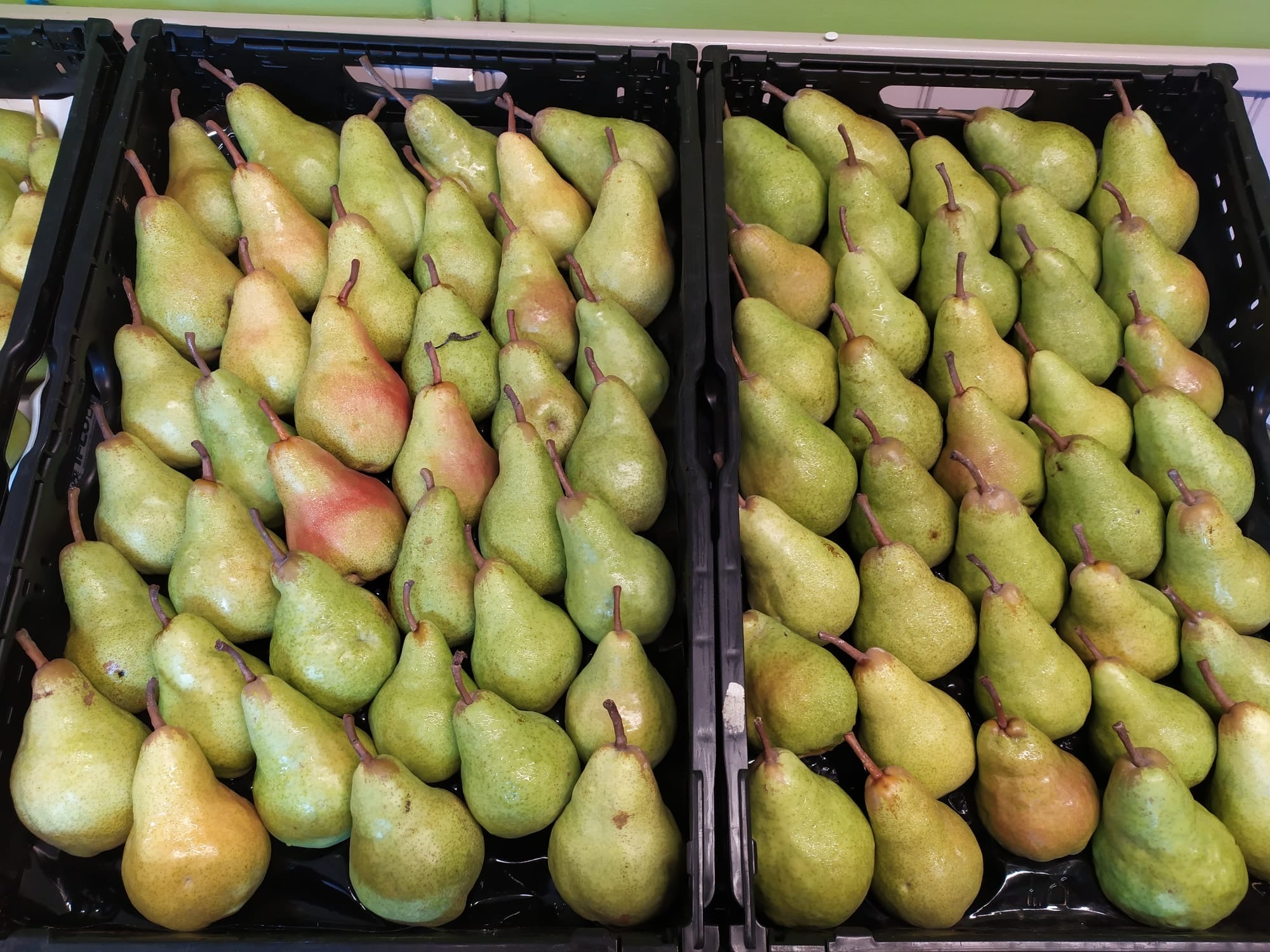 Poires disponibles au Domaine des Moines