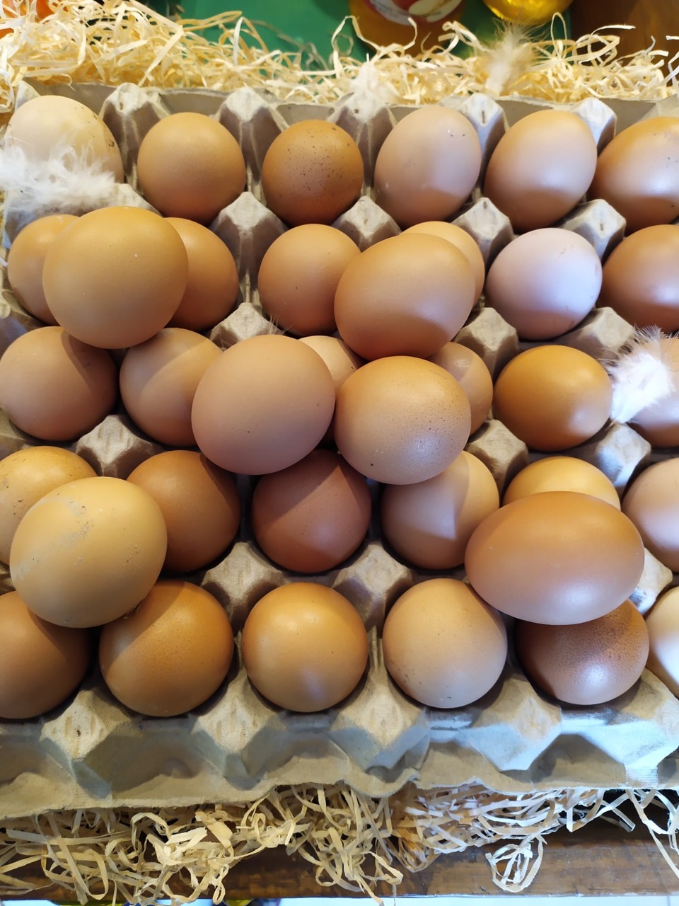 Œufs de ferme au Domaine des Moines